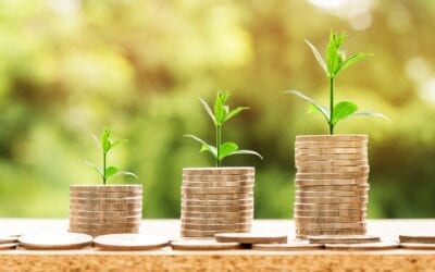 Supply And Procurement Situation